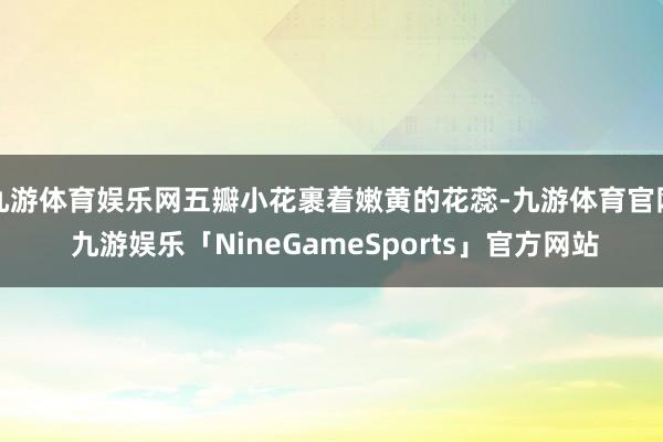 九游体育娱乐网五瓣小花裹着嫩黄的花蕊-九游体育官网 九游娱乐「NineGameSports」官方网站
