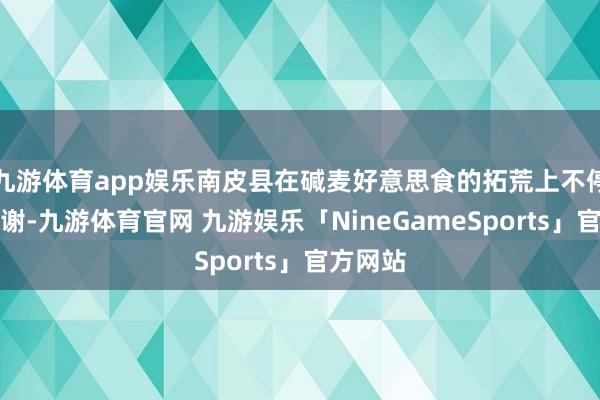 九游体育app娱乐南皮县在碱麦好意思食的拓荒上不停新陈代谢-九游体育官网 九游娱乐「NineGameSports」官方网站