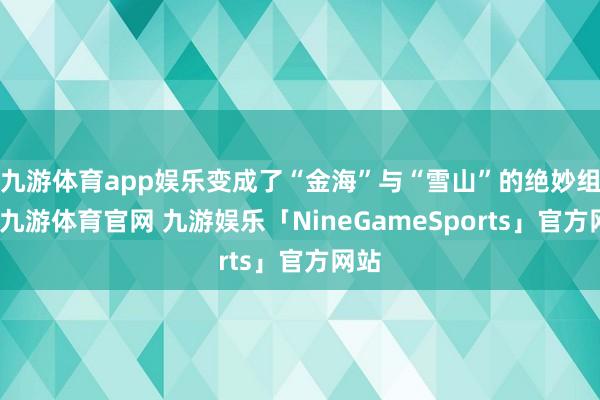 九游体育app娱乐变成了“金海”与“雪山”的绝妙组合-九游体育官网 九游娱乐「NineGameSports」官方网站
