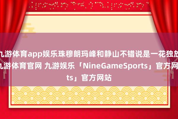 九游体育app娱乐珠穆朗玛峰和静山不错说是一花独放-九游体育官网 九游娱乐「NineGameSports」官方网站